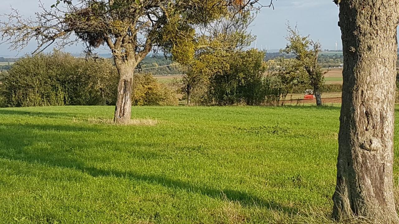 Hardtwald Hotel Bad Homburg vor der Höhe Εξωτερικό φωτογραφία